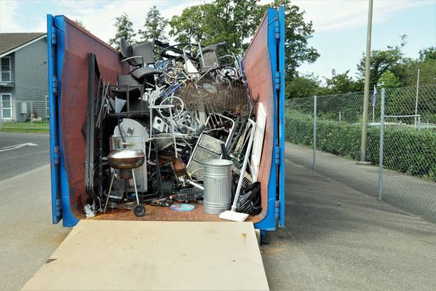 Yard Cleanup Services in Greenville, MI