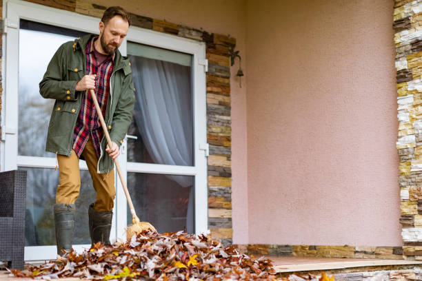 Professional Junk Removal in Greenville, MI