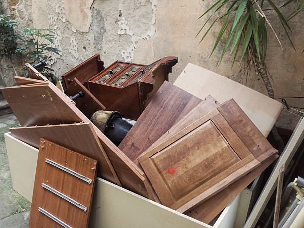 Best Junk Hauling Services  in Greenville, MI